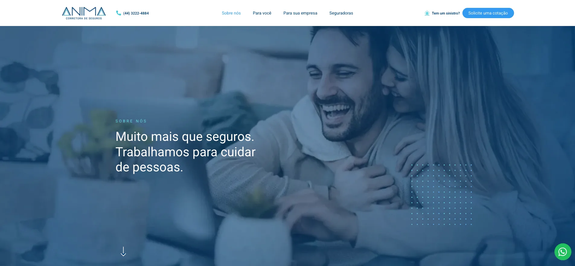 Anima Corretora, página inicial