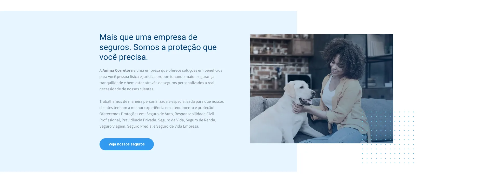 Anima Corretora, seção sobre a empresa